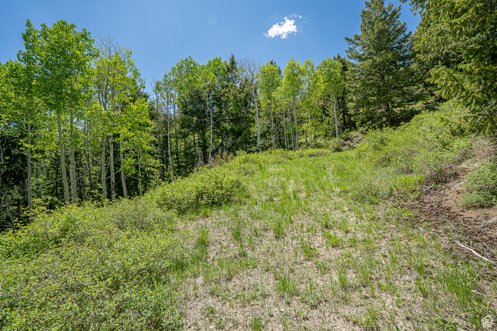 Land, Duchesne, Utah image 33