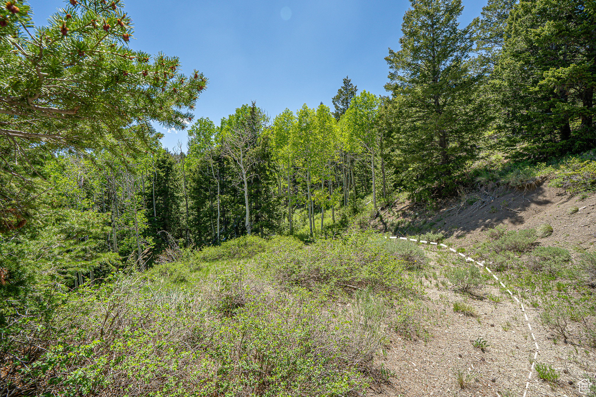 Land, Duchesne, Utah image 28