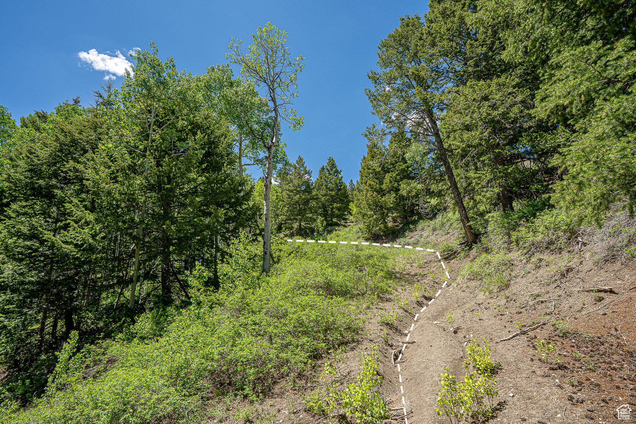 Land, Duchesne, Utah image 36