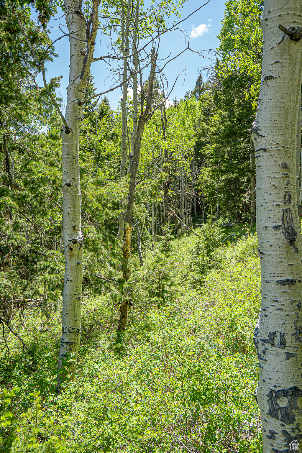 Land, Duchesne, Utah image 47