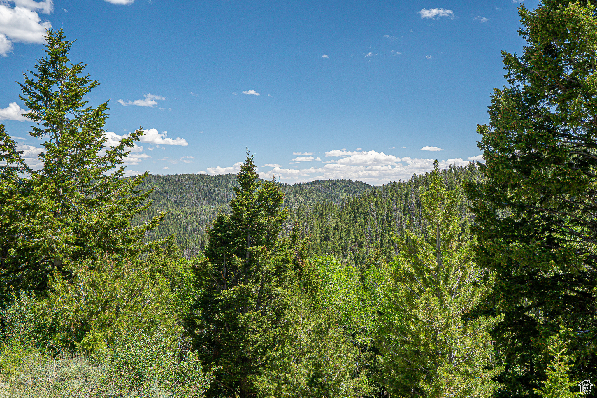 Land, Duchesne, Utah image 49