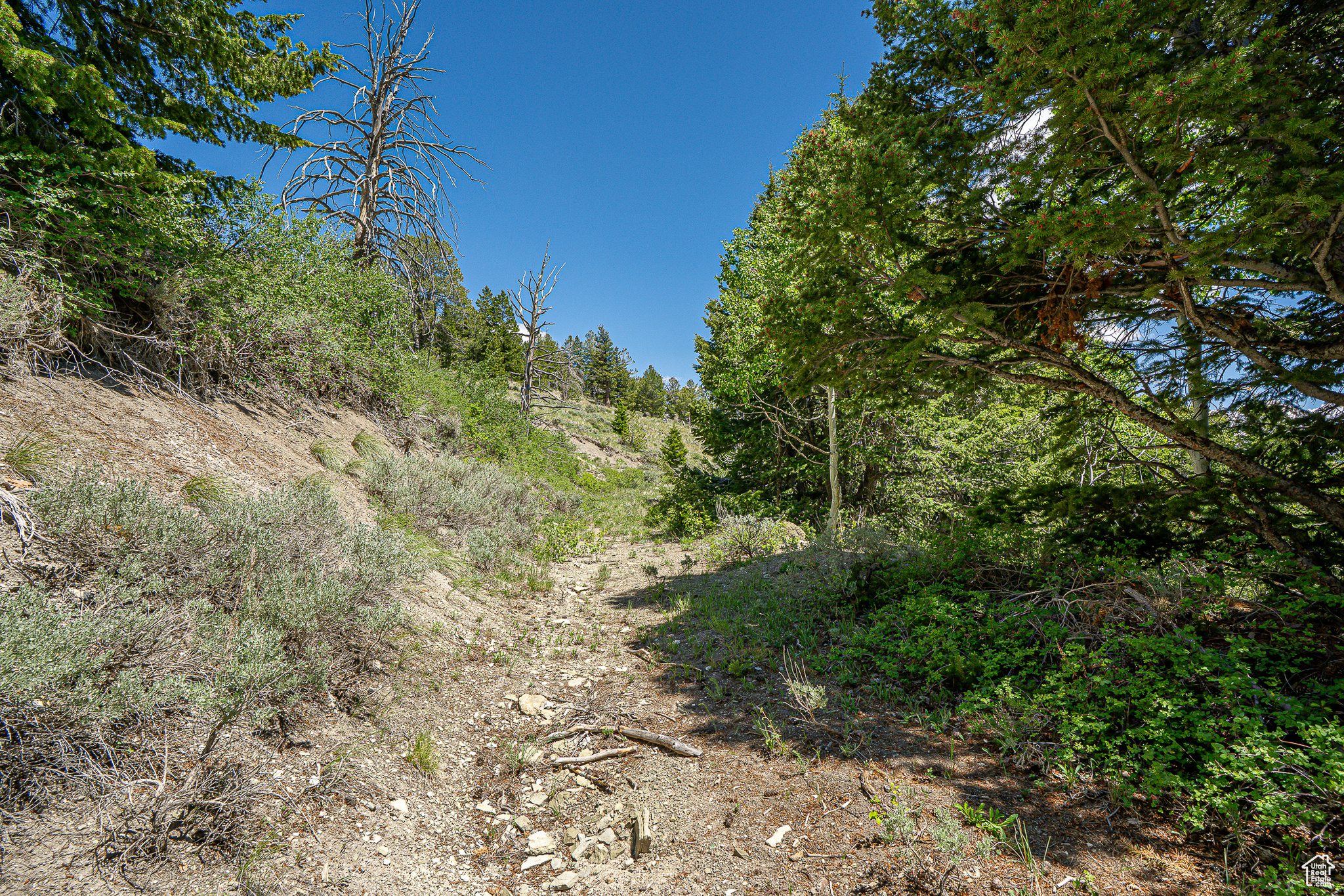 Land, Duchesne, Utah image 29
