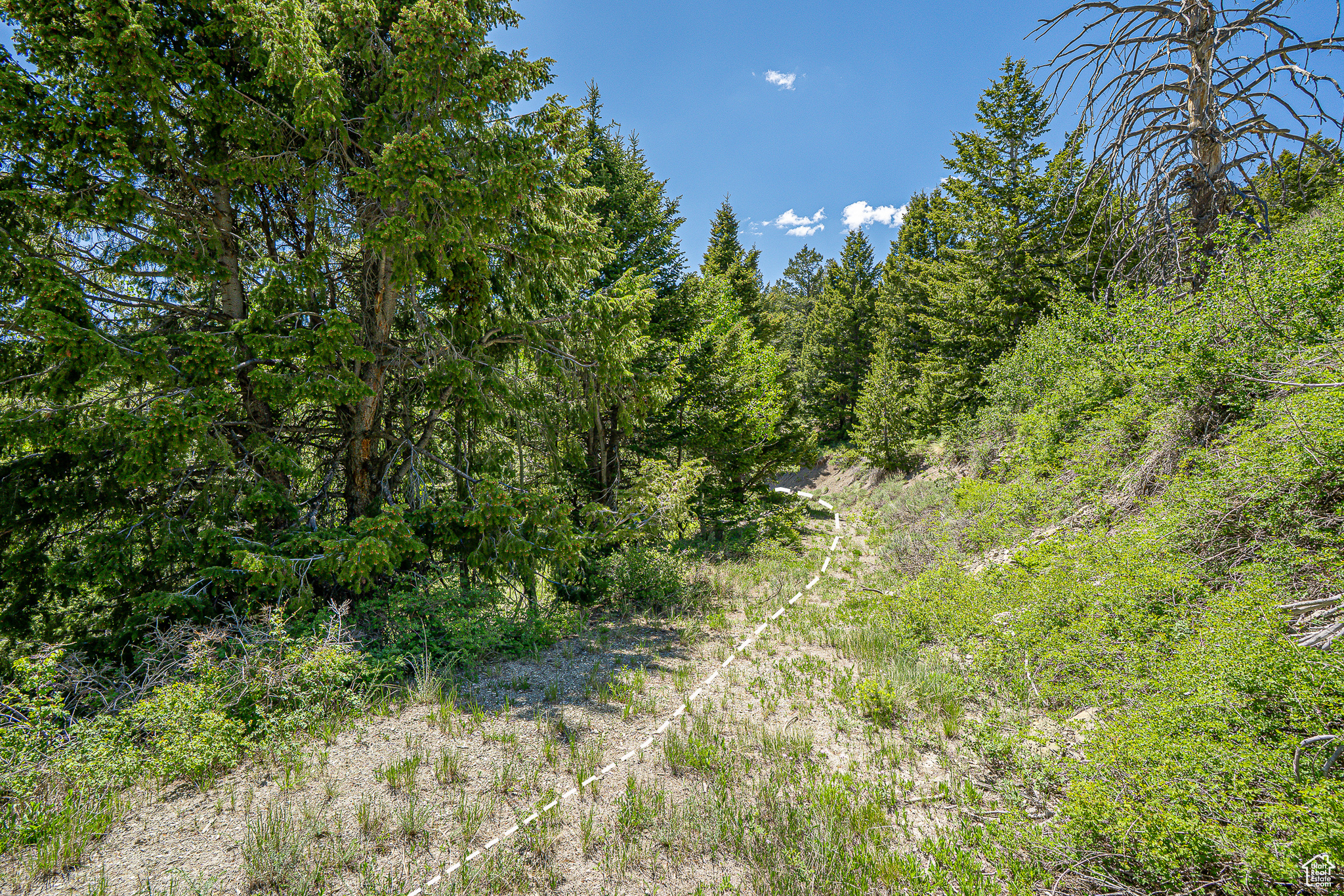 Land, Duchesne, Utah image 26