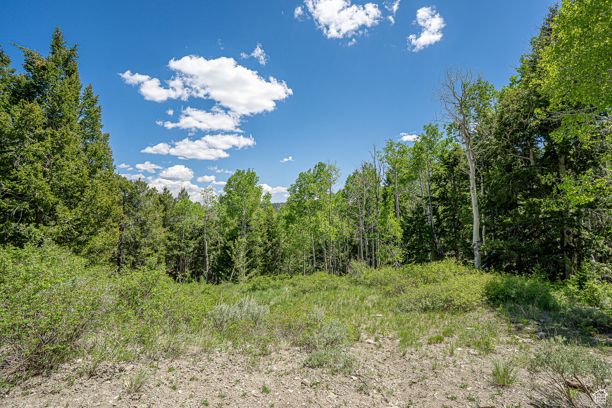 Land, Duchesne, Utah image 31