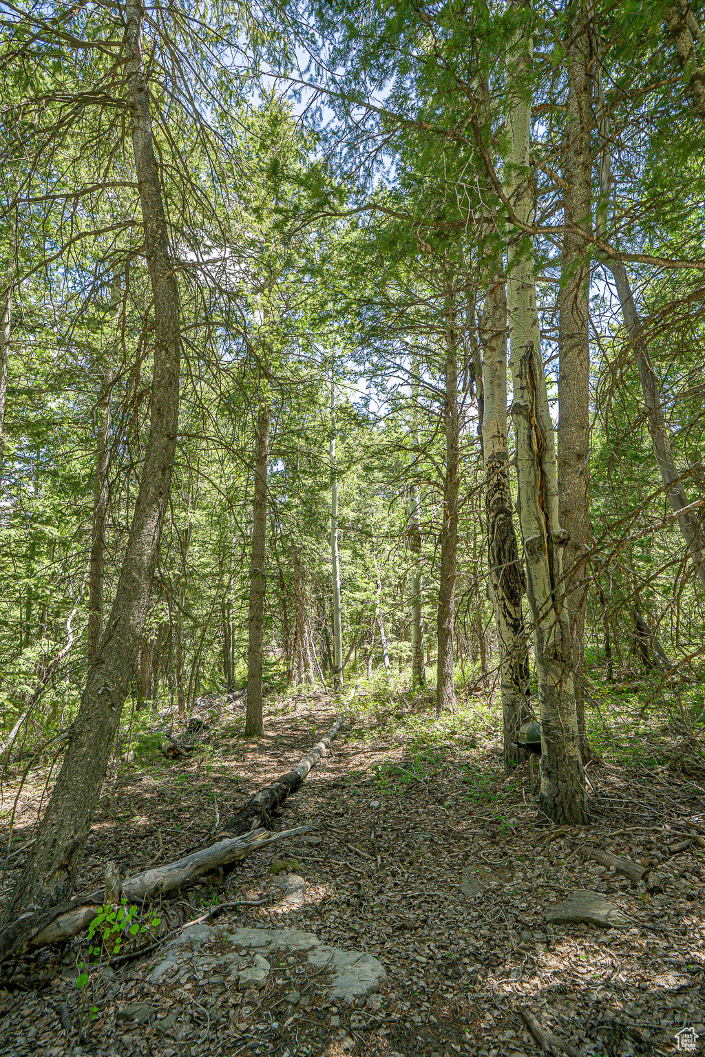 Land, Duchesne, Utah image 40