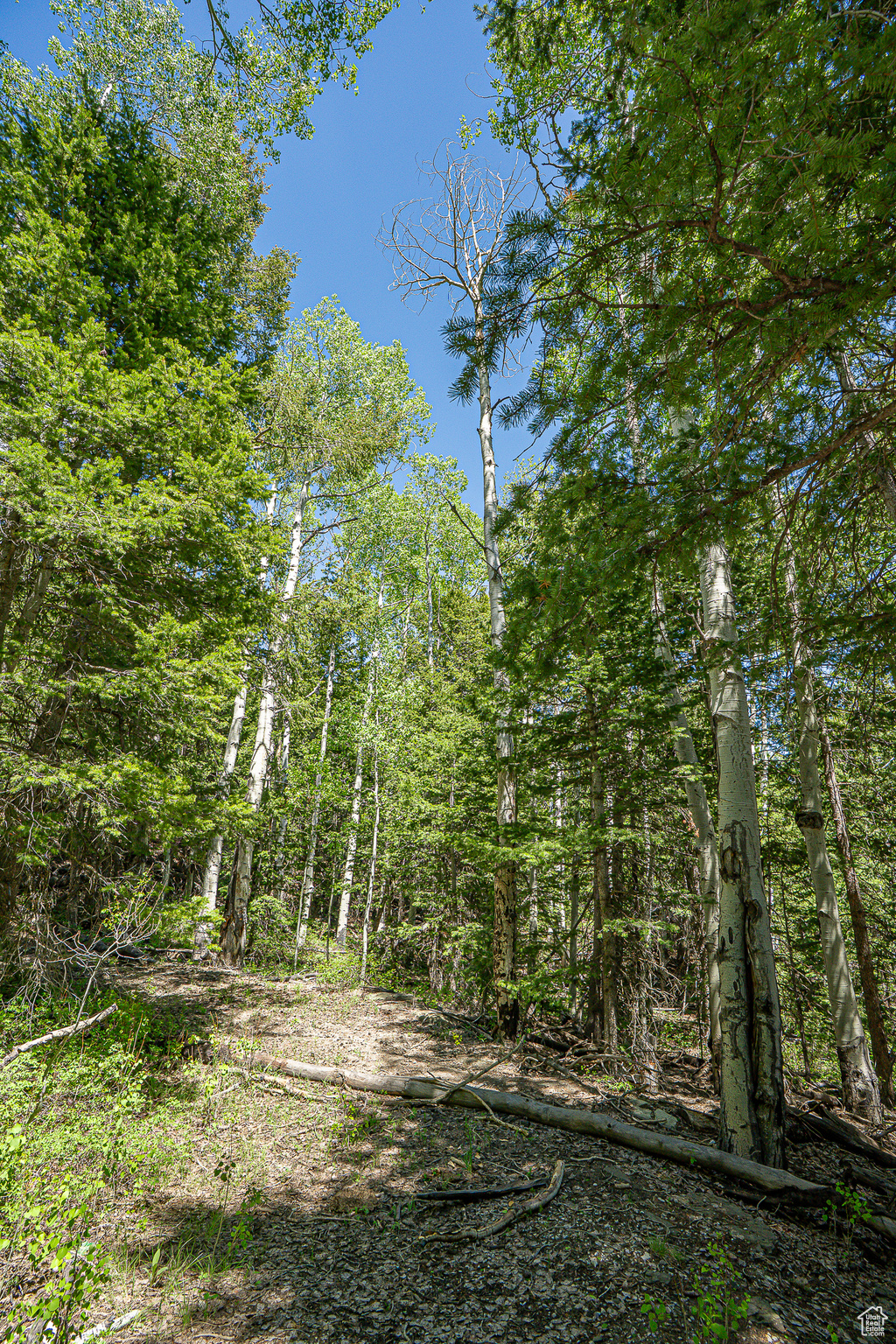 Land, Duchesne, Utah image 39