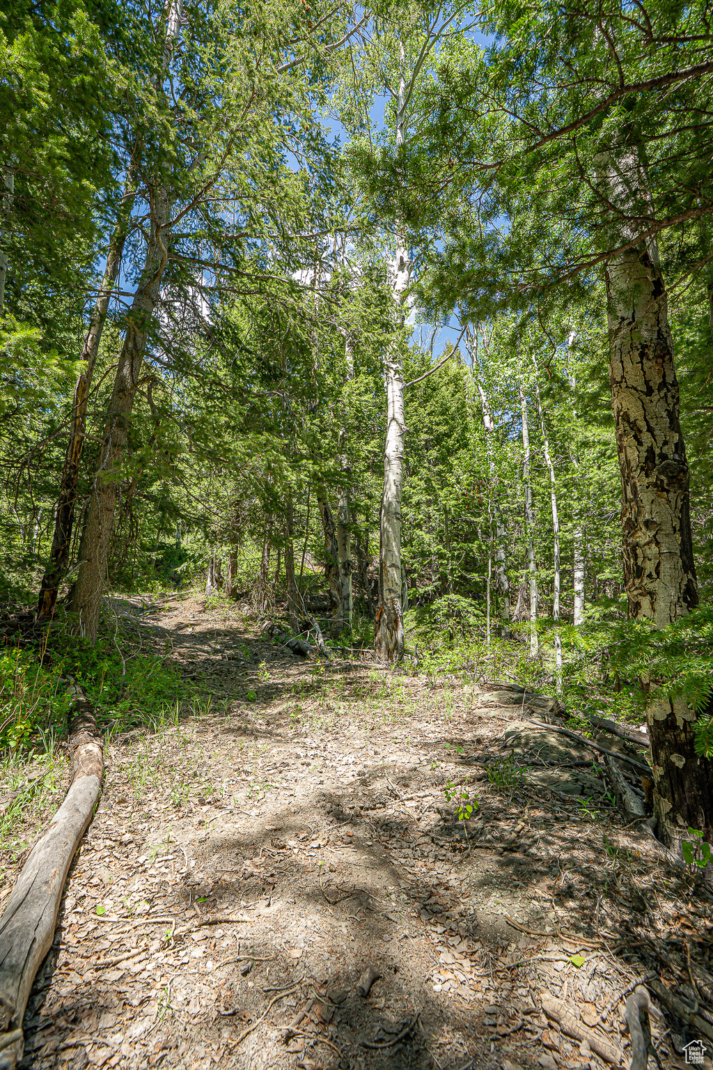 Land, Duchesne, Utah image 41