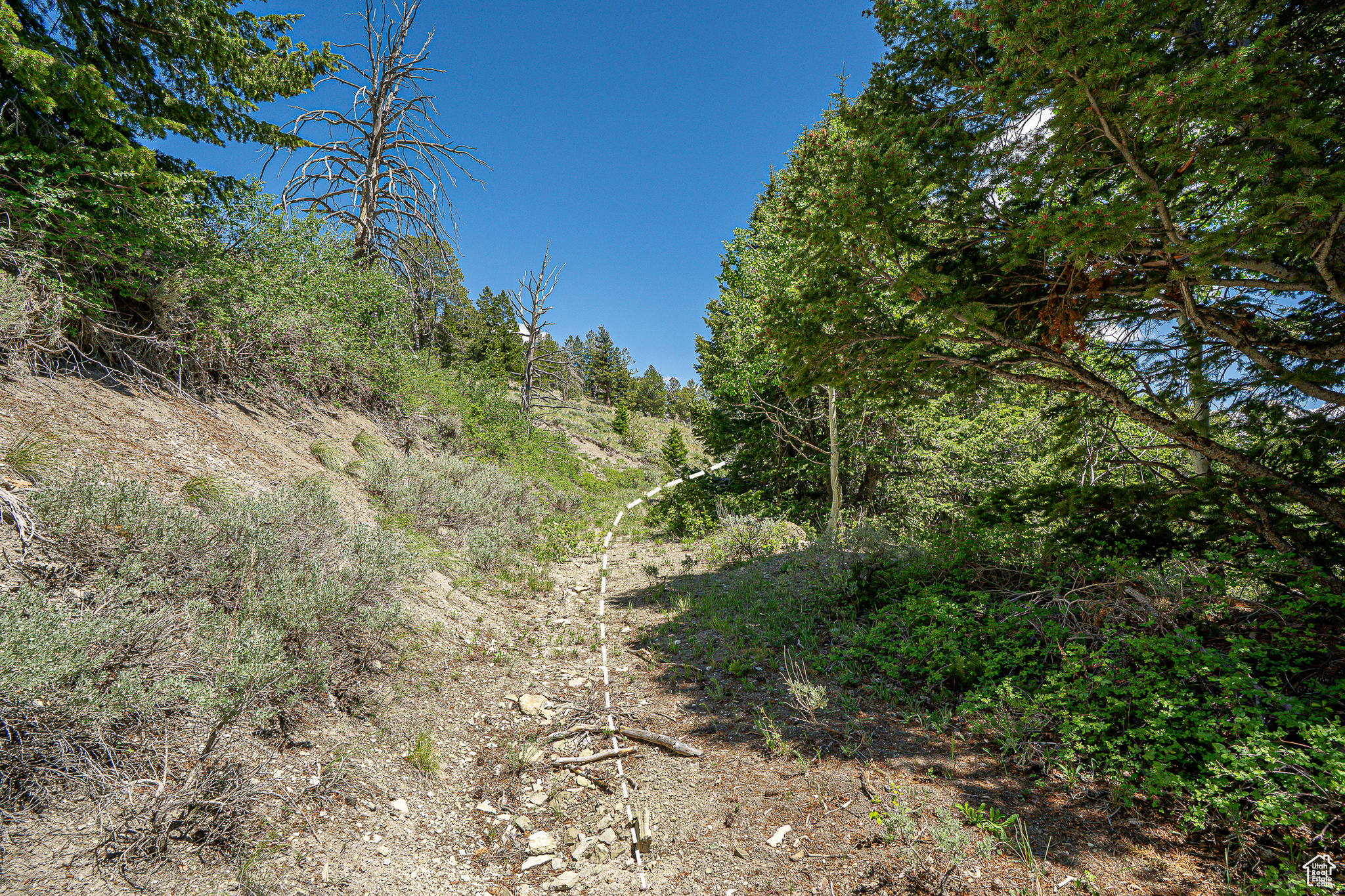 Land, Duchesne, Utah image 30