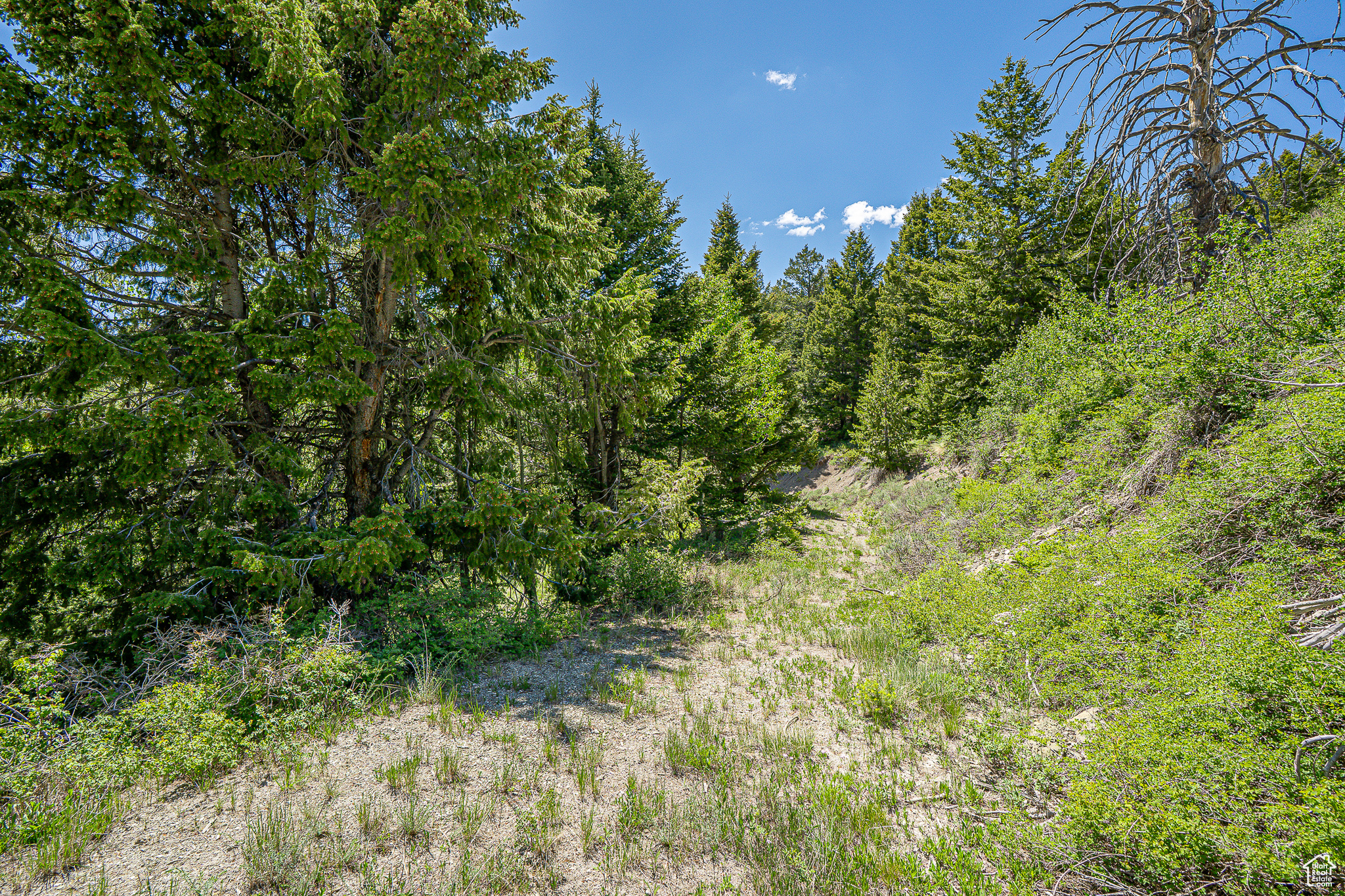 Land, Duchesne, Utah image 25