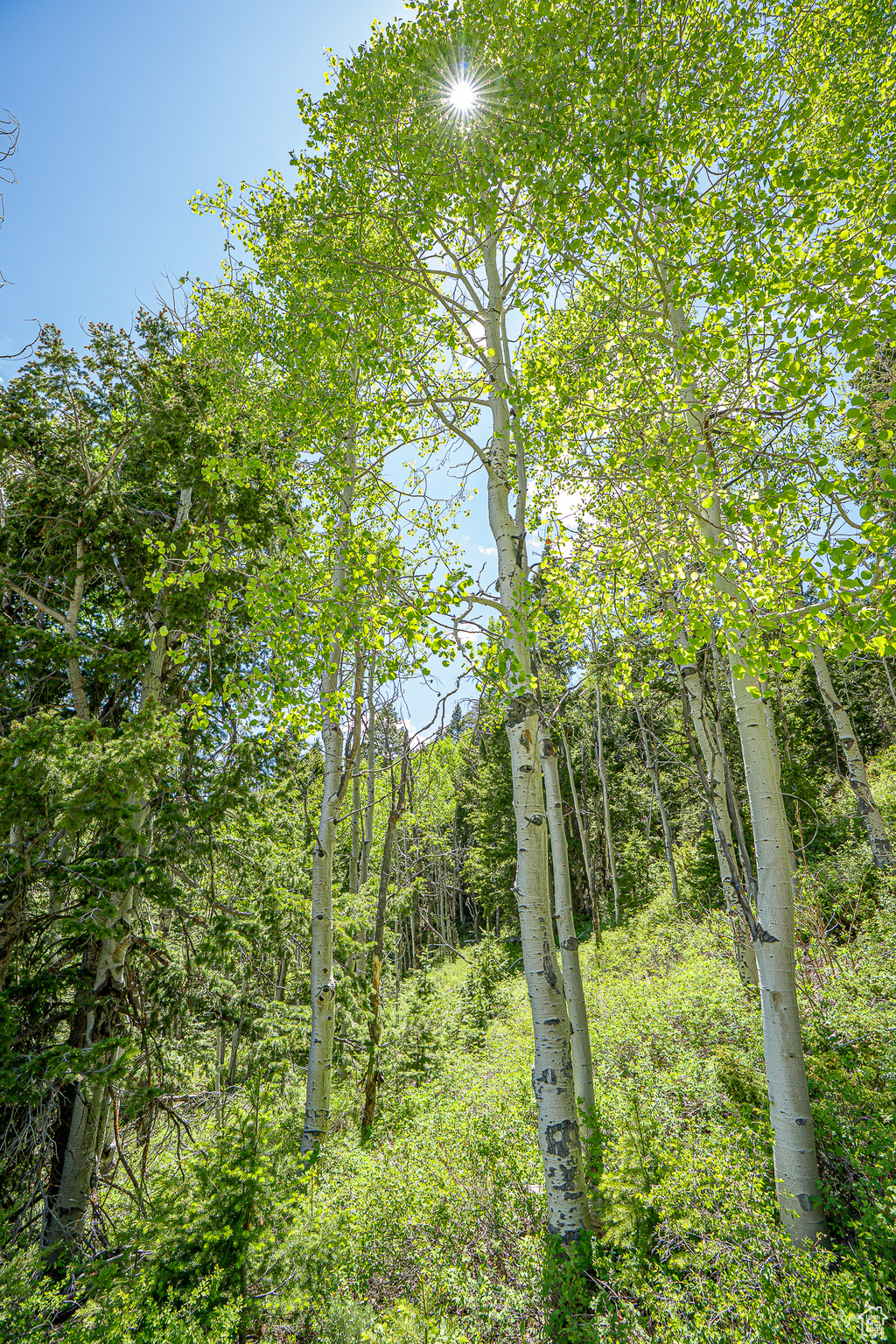 Land, Duchesne, Utah image 46