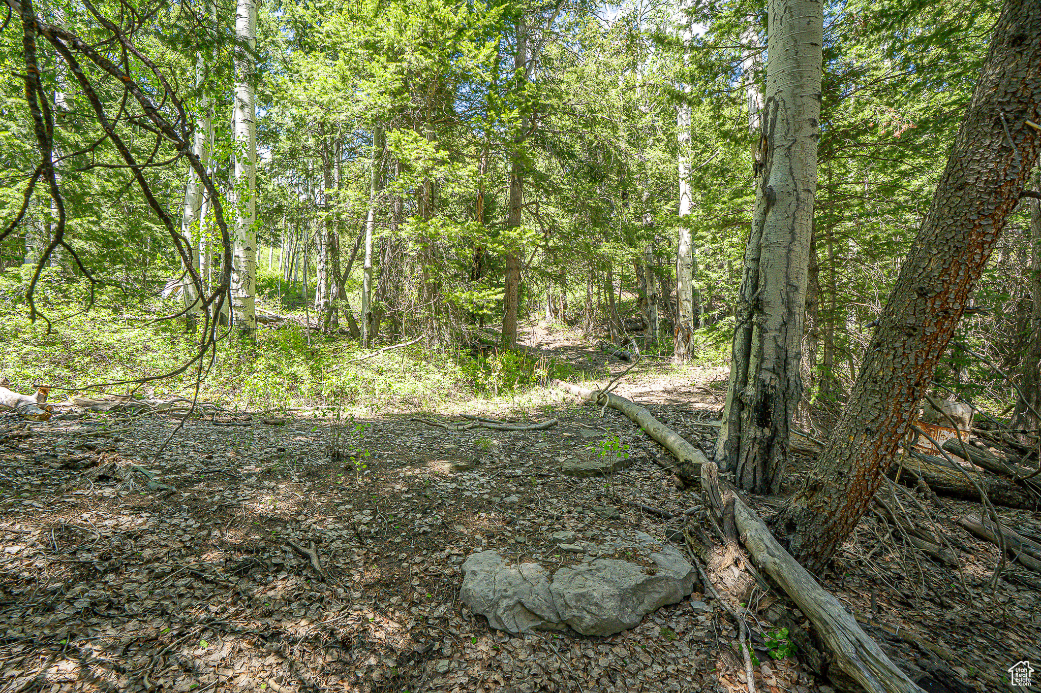 Land, Duchesne, Utah image 45