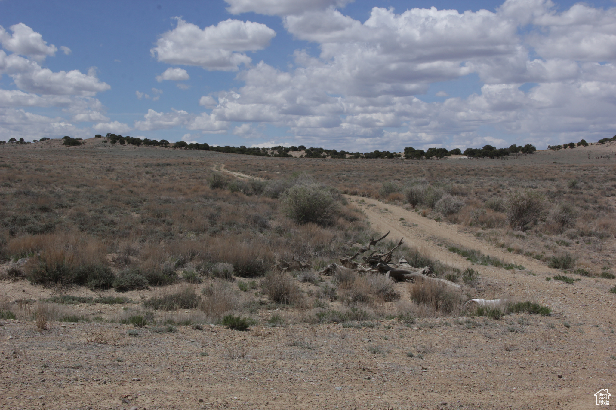 SILVER MOON RANCH - Land