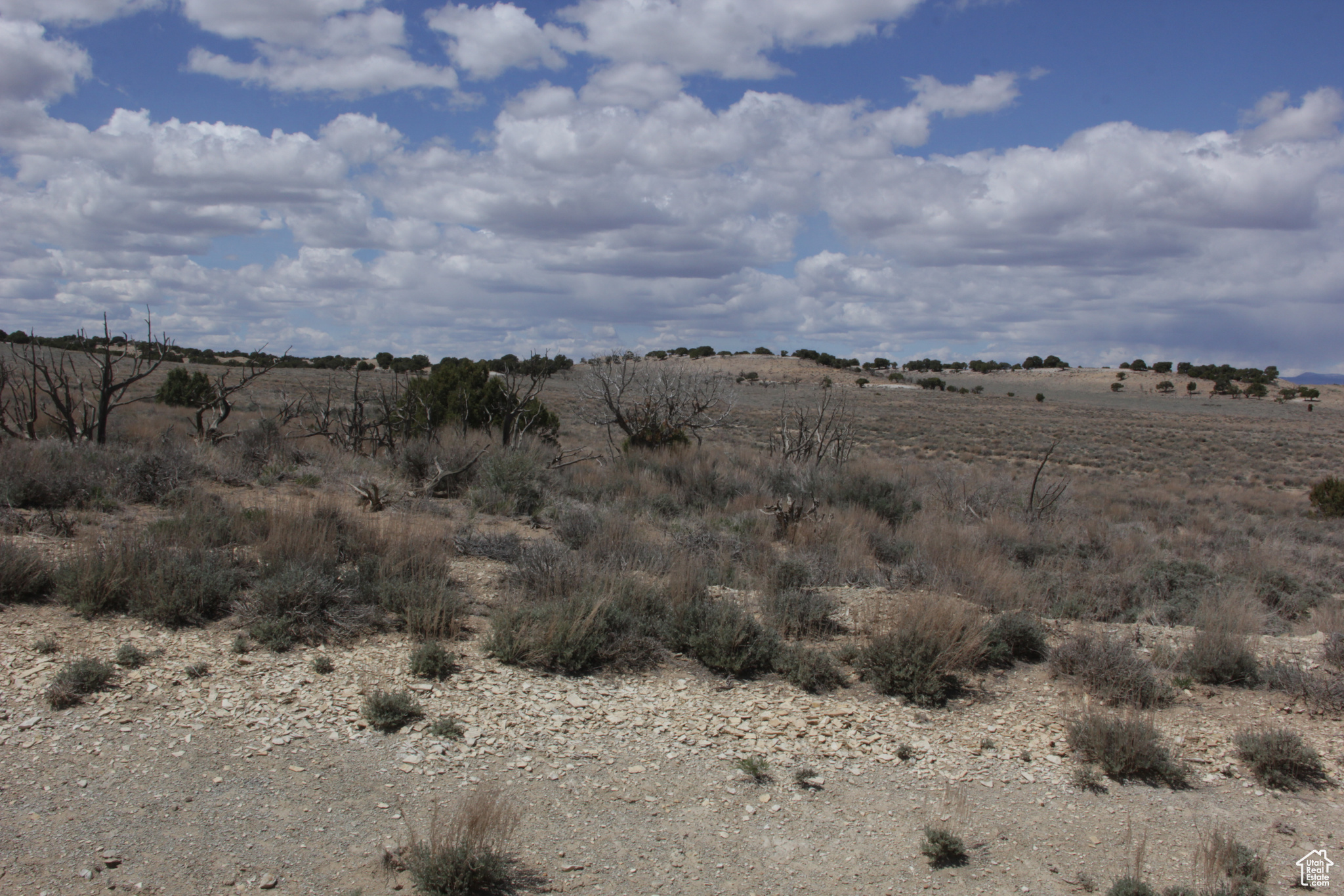 SILVER MOON RANCH - Land