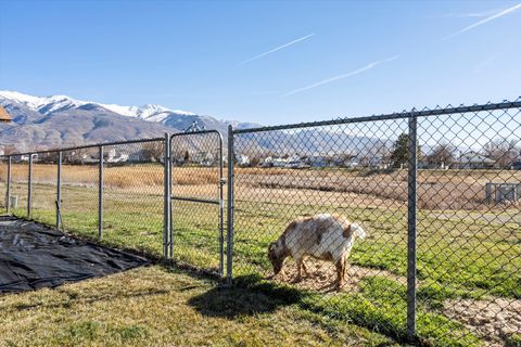 Tiny photo for 864 E 625 ST S, Layton, UT 84041 (MLS # 2133298)