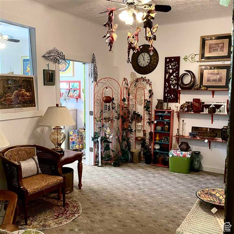 SODA CITY - Commercial Sale