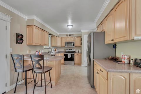 Tiny photo for 505 S MELANIE LN E, Pleasant Grove, UT 84062 (MLS # 2117304)