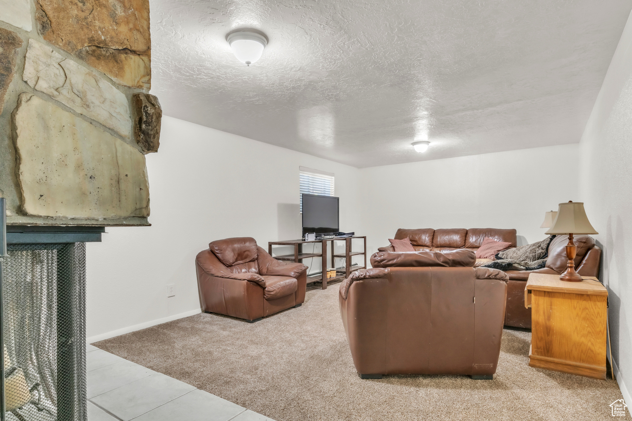 298 S Palisades Dr, Orem, Utah image 21