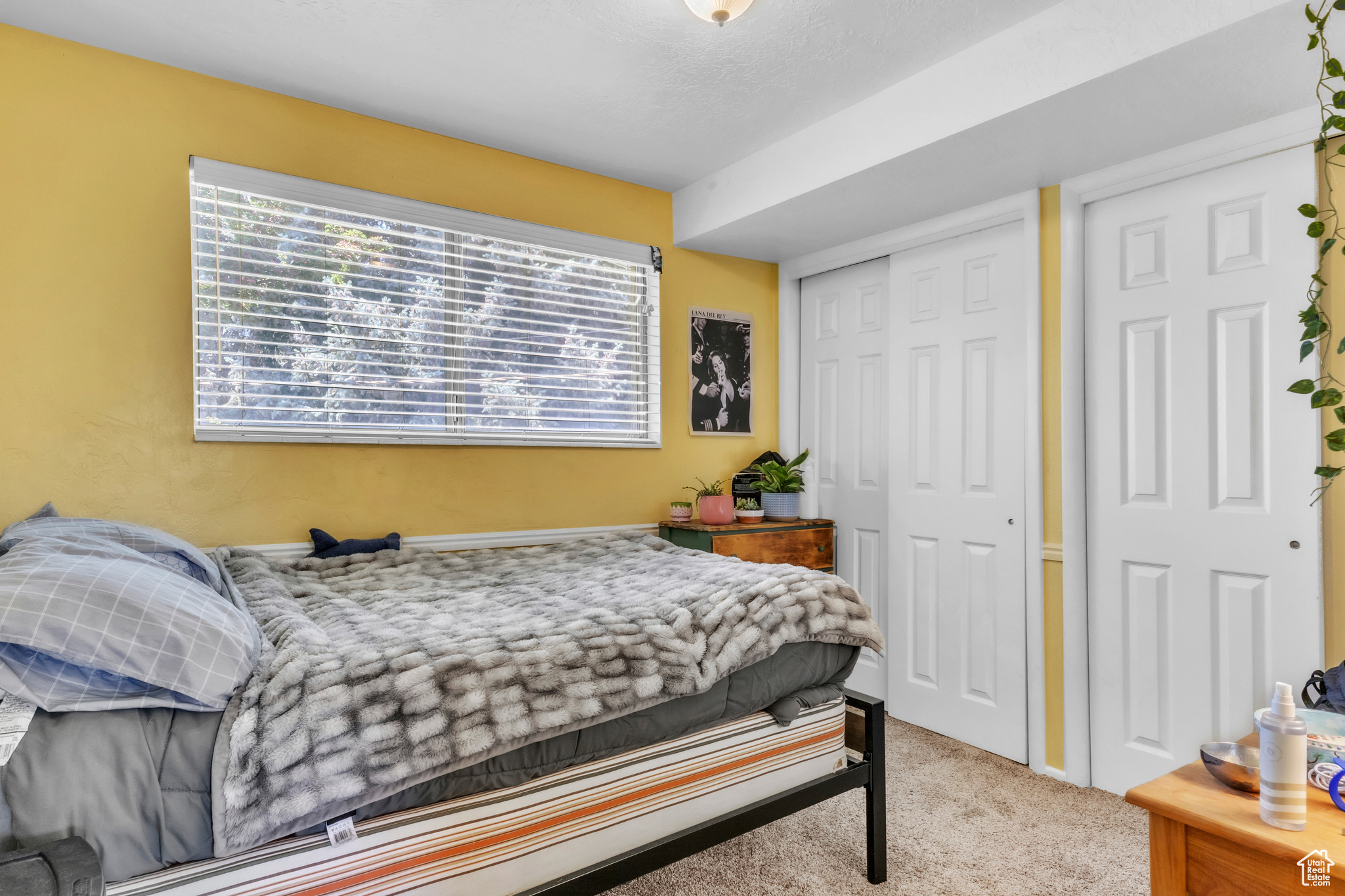 298 S Palisades Dr, Orem, Utah image 14