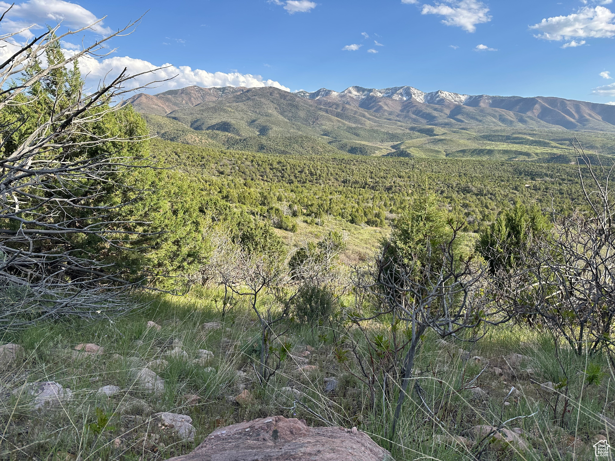 1700 E 200, Fillmore, Utah image 13