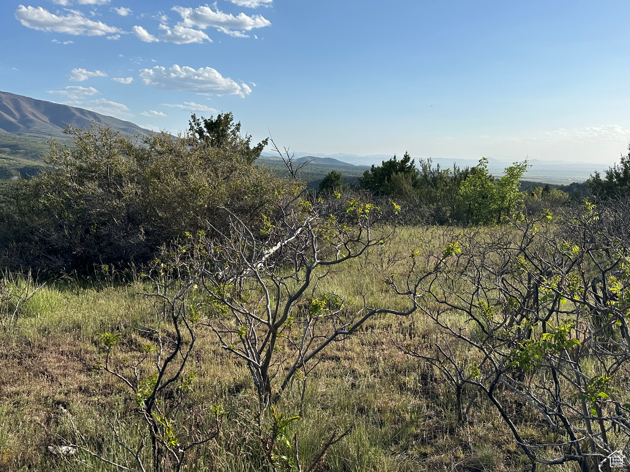 1700 E 200, Fillmore, Utah image 12