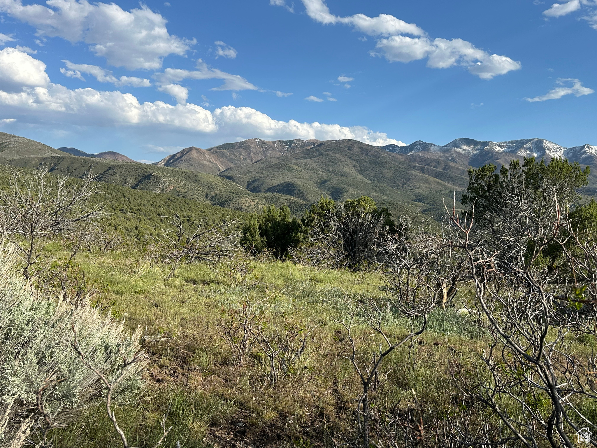 1700 E 200, Fillmore, Utah image 9