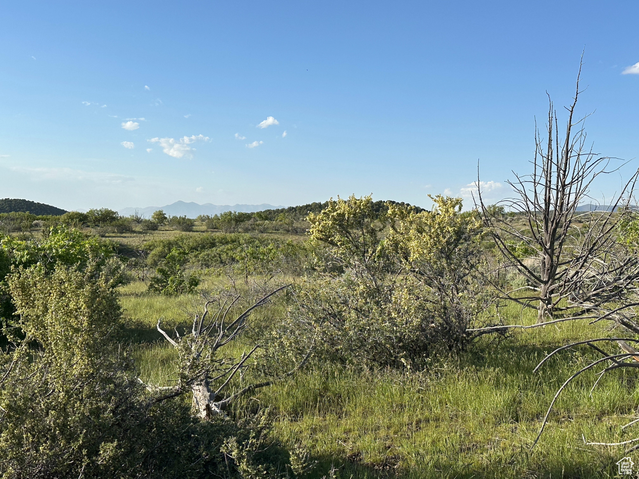 1700 E 200, Fillmore, Utah image 20