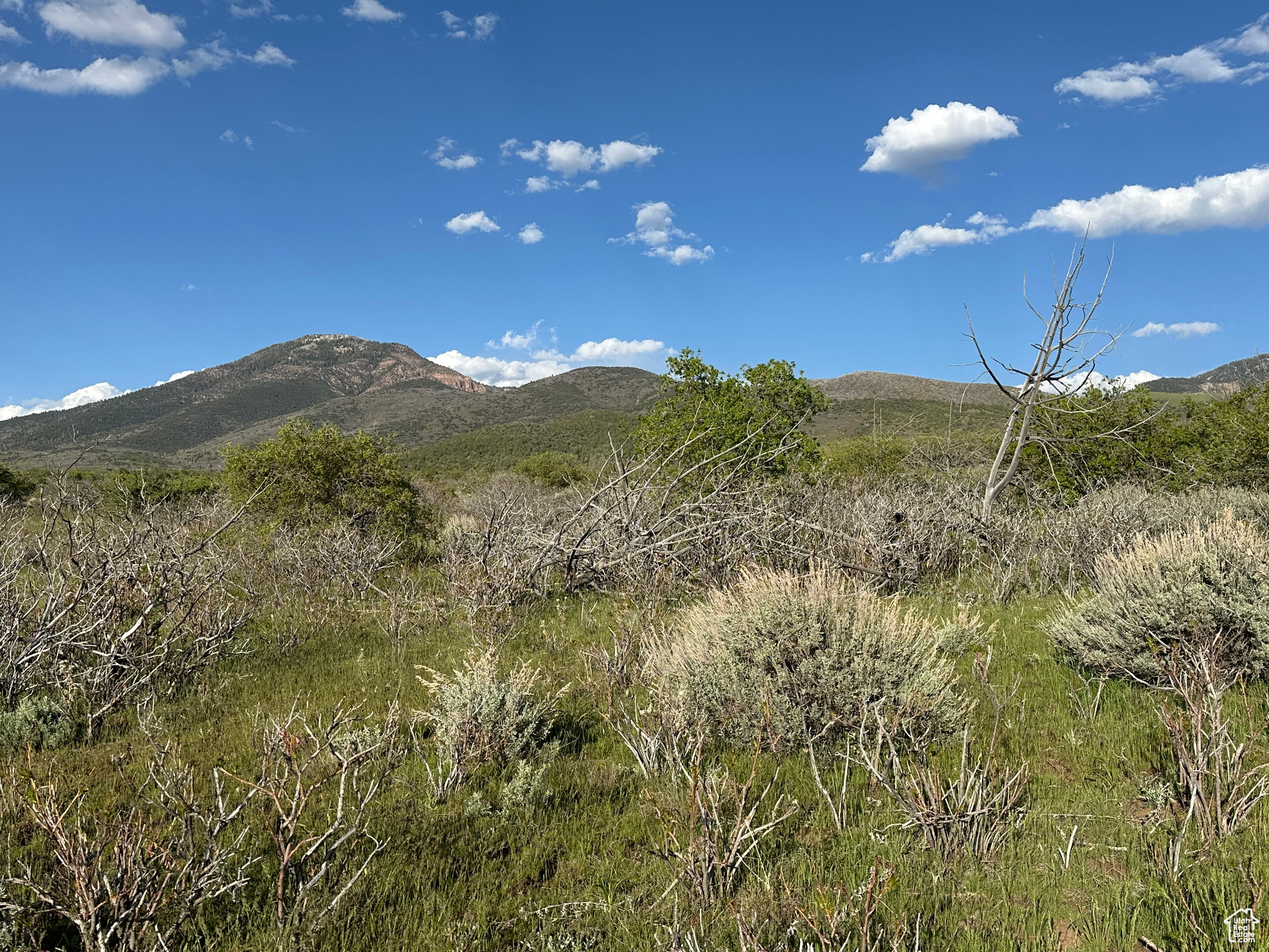1700 E 200, Fillmore, Utah image 16