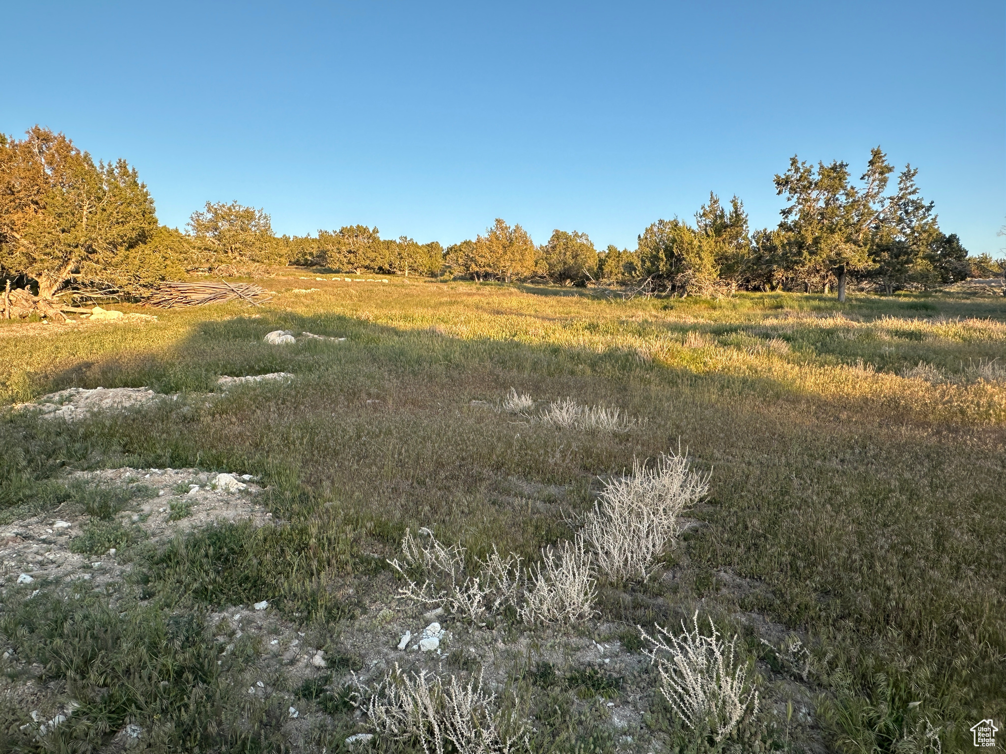13932 N 6300 #1, Spring City, Utah image 2
