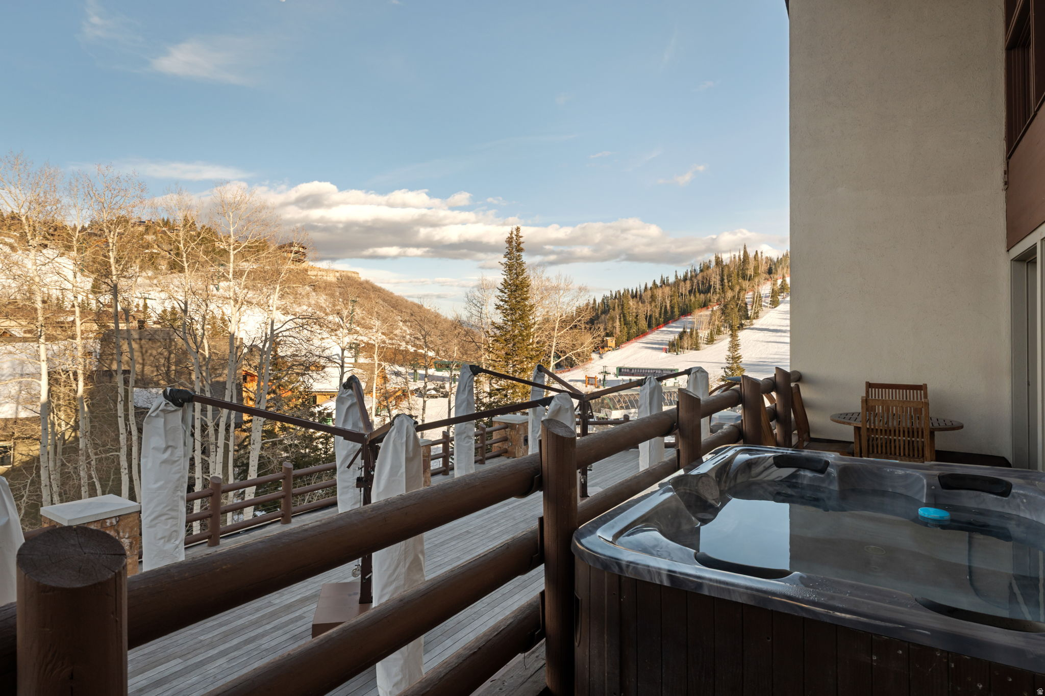 STEIN ERIKSEN LODGE CONDOMINIUM - Residential