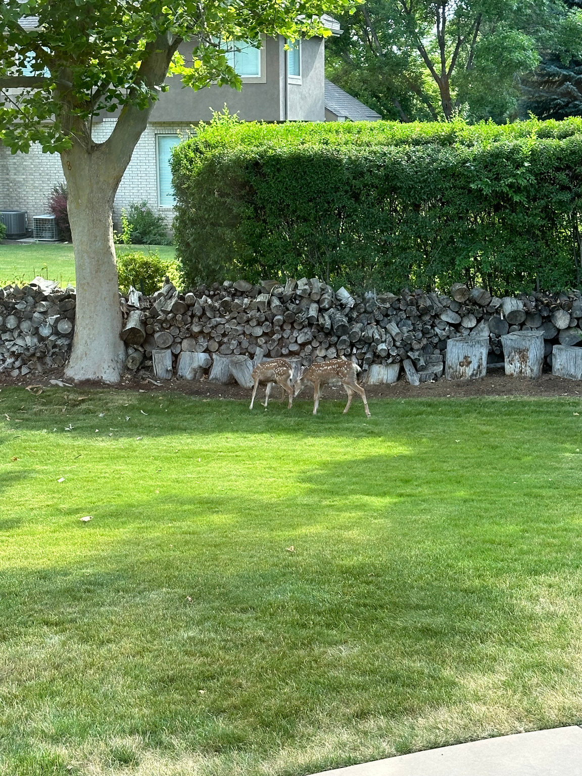 HIDDEN OAKS - Residential