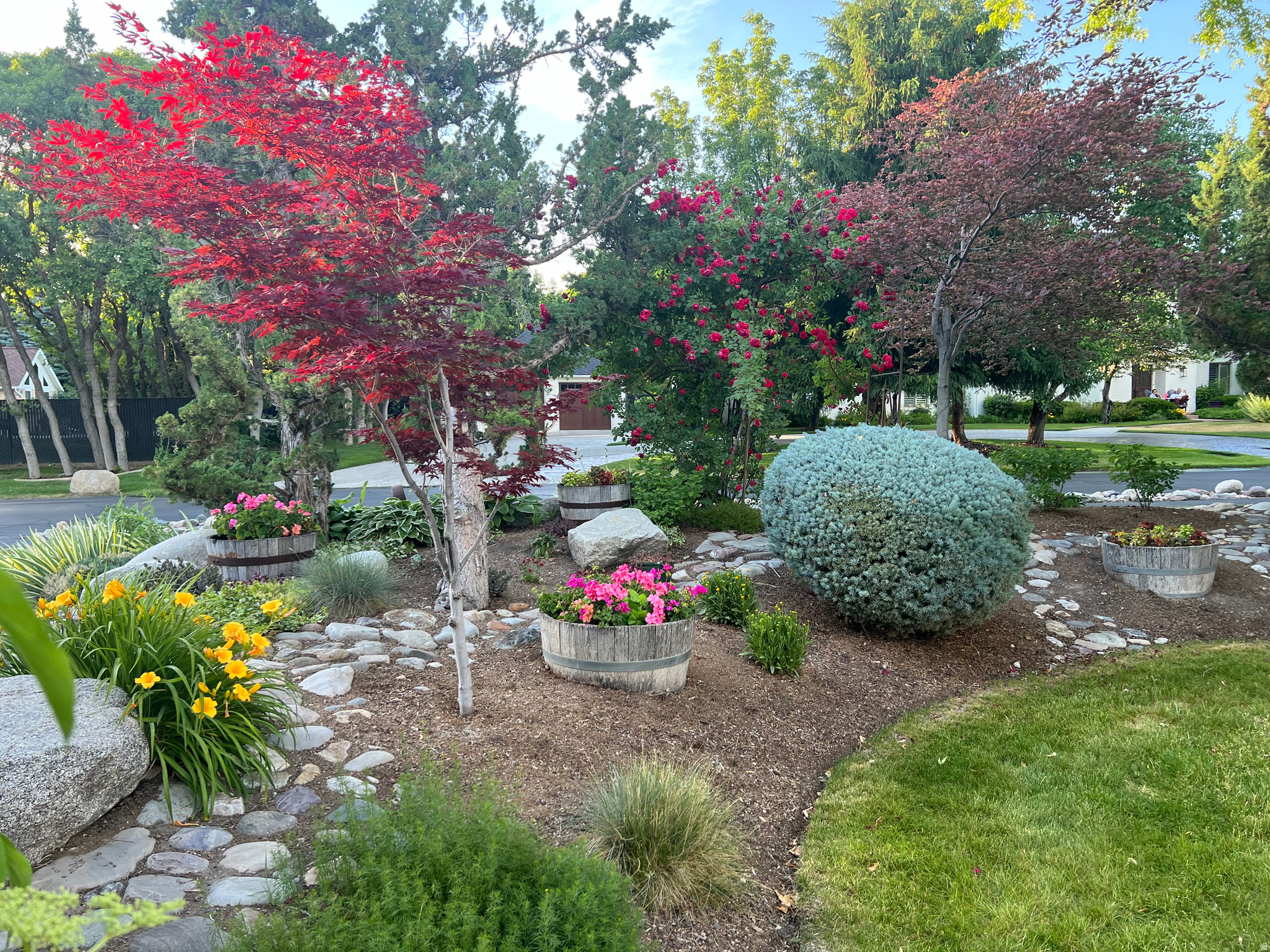 HIDDEN OAKS - Residential