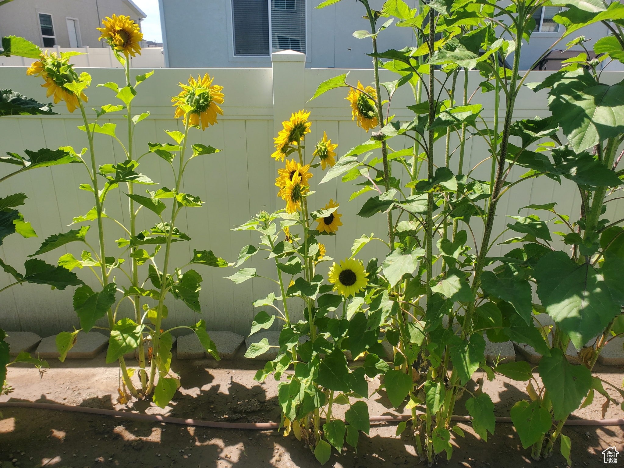 HARMONY PHASE A PLAT 8 - Residential