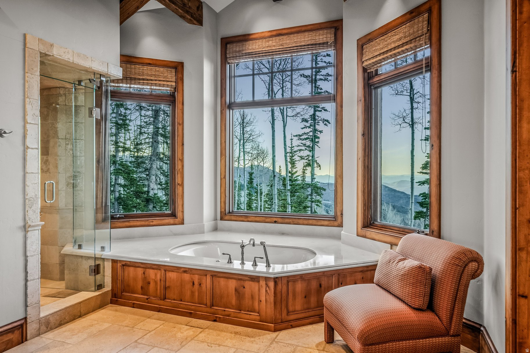 COLONY AT WHITE PINE - Residential