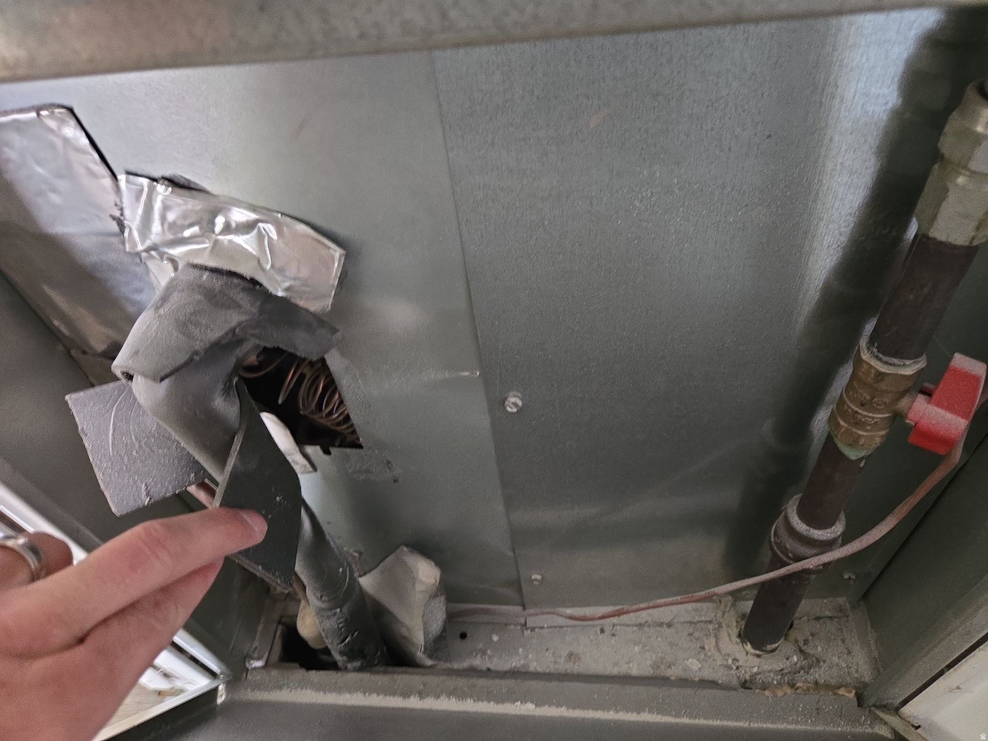 Main image without alt text