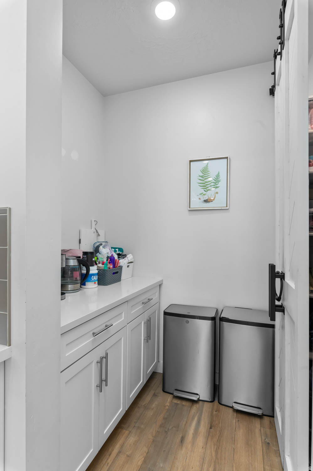 COPPERLEAF ESTATES - Residential