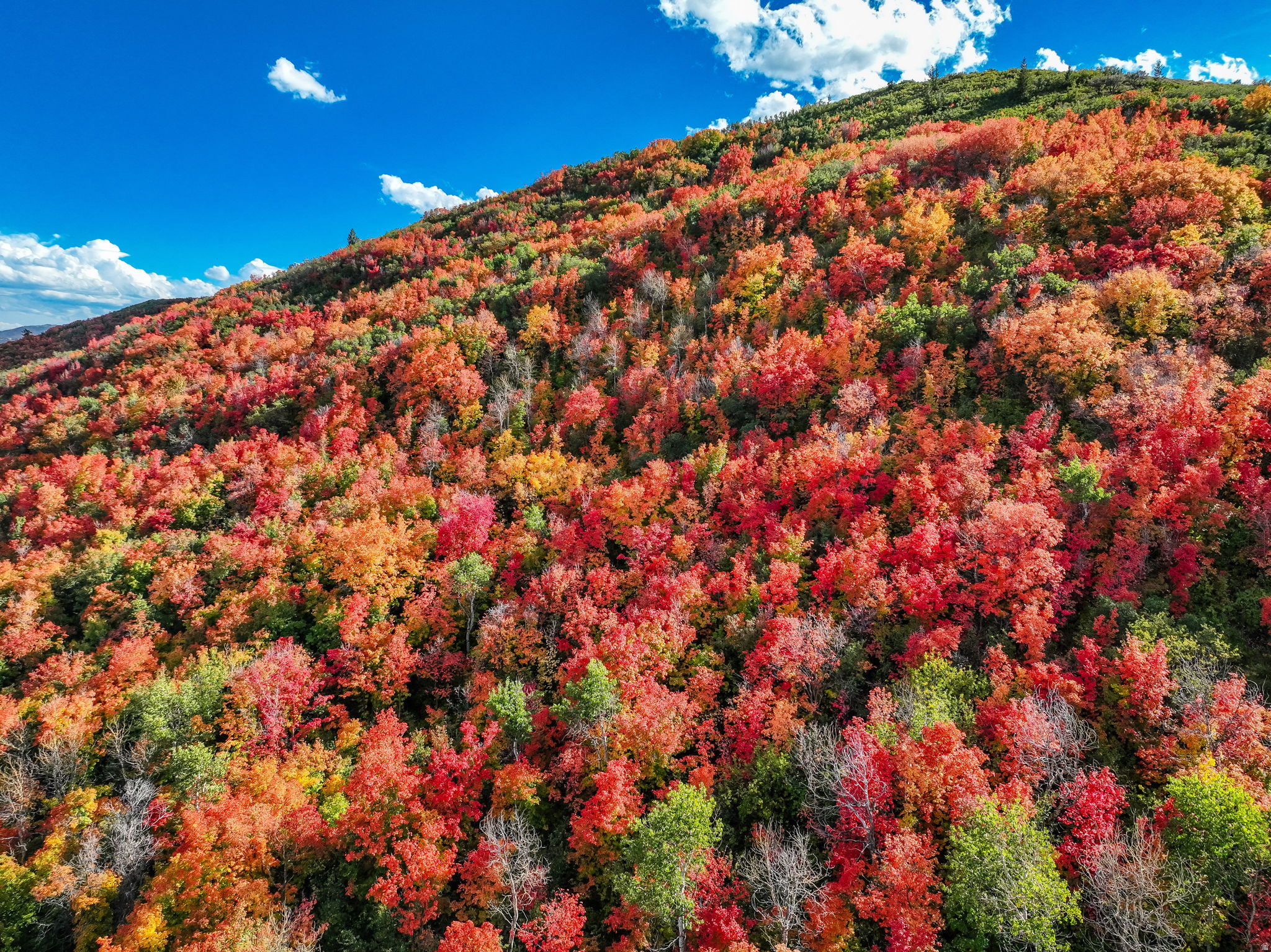 HIDEOUT CANYON PHASE 2 - Land