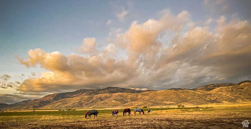 This is an amazing property! Bring your equestrian dreams to life on this 6.00-acre property in the heart of the quaint town of Bennington, ID. Complete with an 80x120 indoor arena, tack room, feed room, and an amazing 150x250 outdoor arena with holding pens. This set up is the perfect place for horse enthusiasts or anyone needing room for their livestock. The acreage is fully fenced and features a peaceful stream running through the property along with city culinary water hookup for convenience. All of this is set up against the backdrop of breathtaking mountain views in every direction. This property is a true blend of country living and small-town charm. This property can be purchased with another 10.15 acres right next to it! There is an option for seller financing! Lets go see this stunning property!