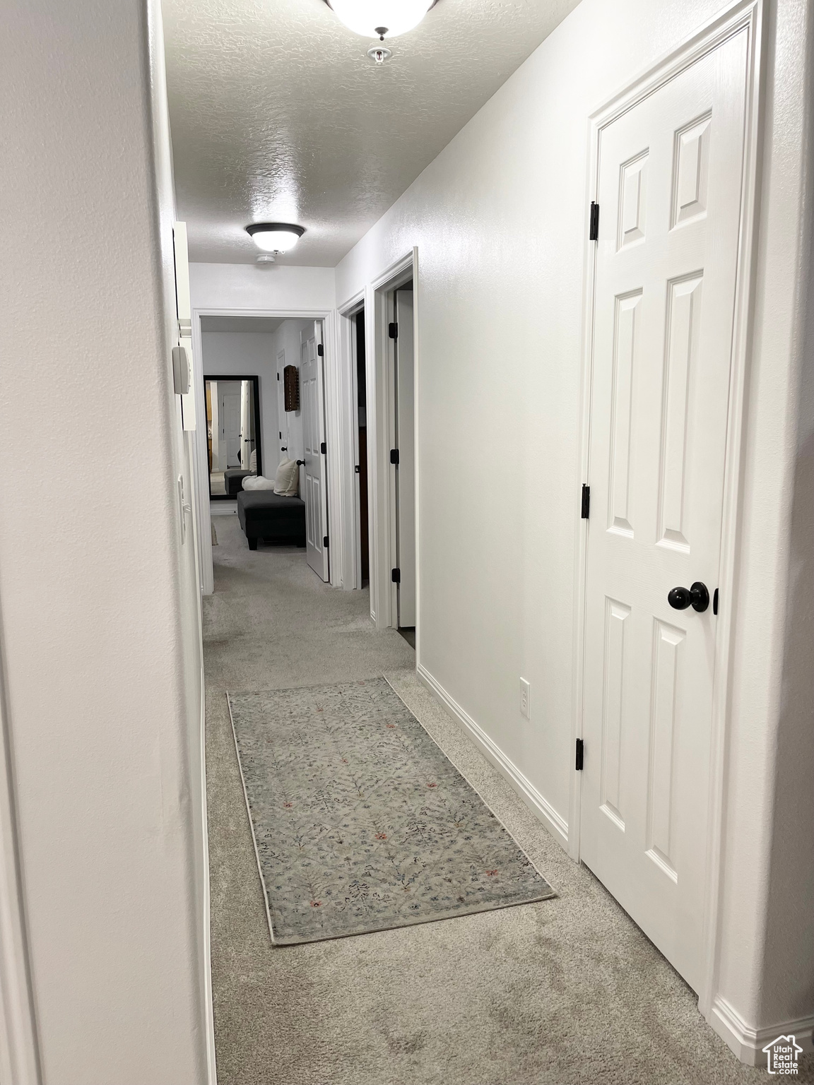 WILLOW SPRINGS - Residential