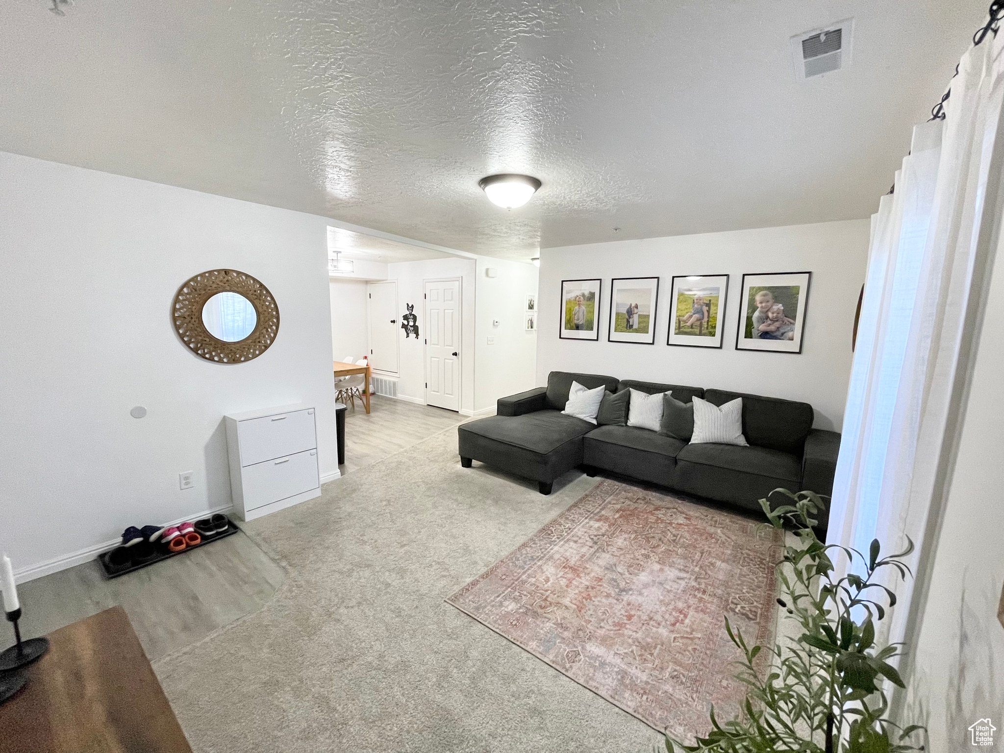 WILLOW SPRINGS - Residential