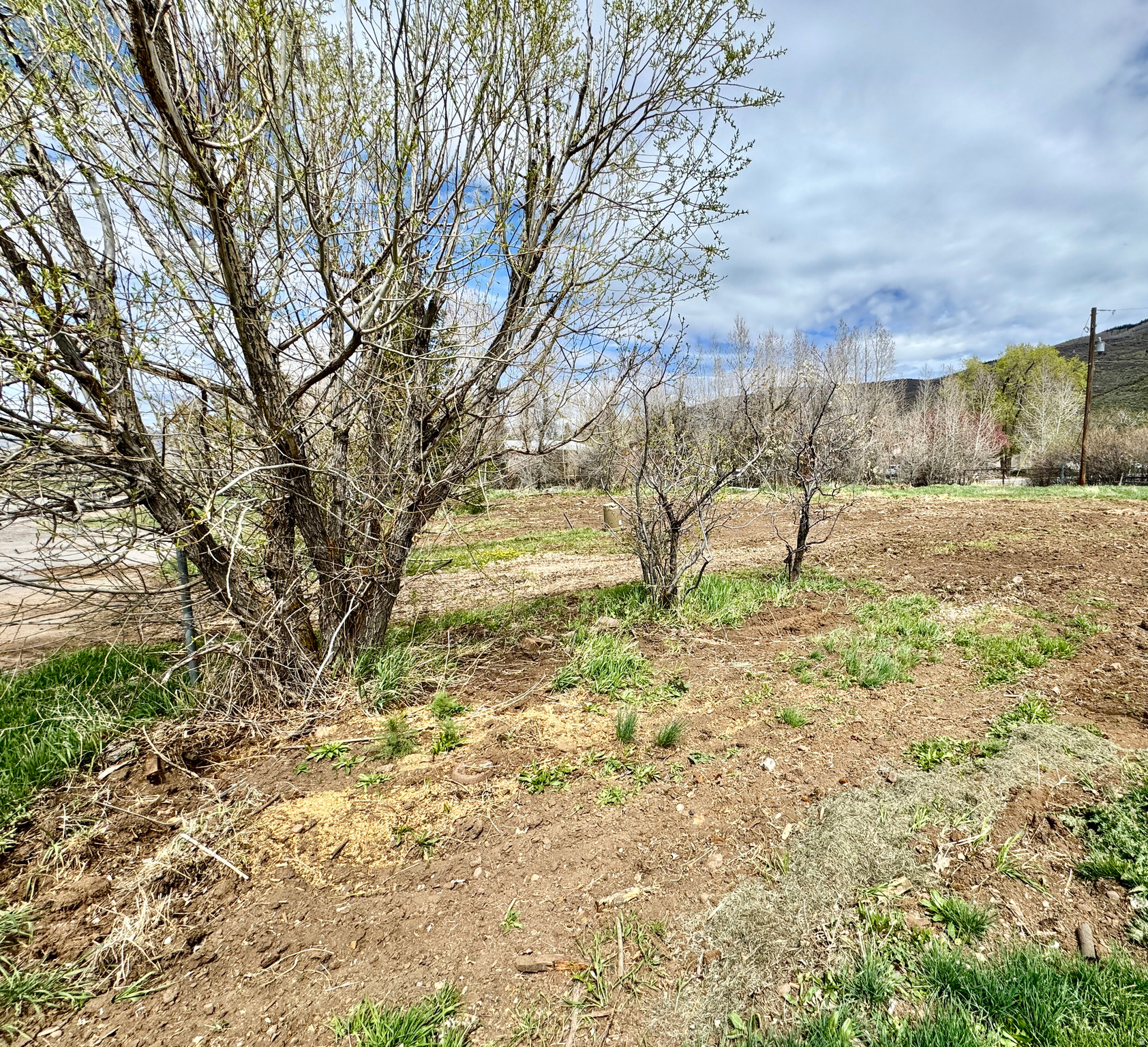 KAMAS TOWN - Land
