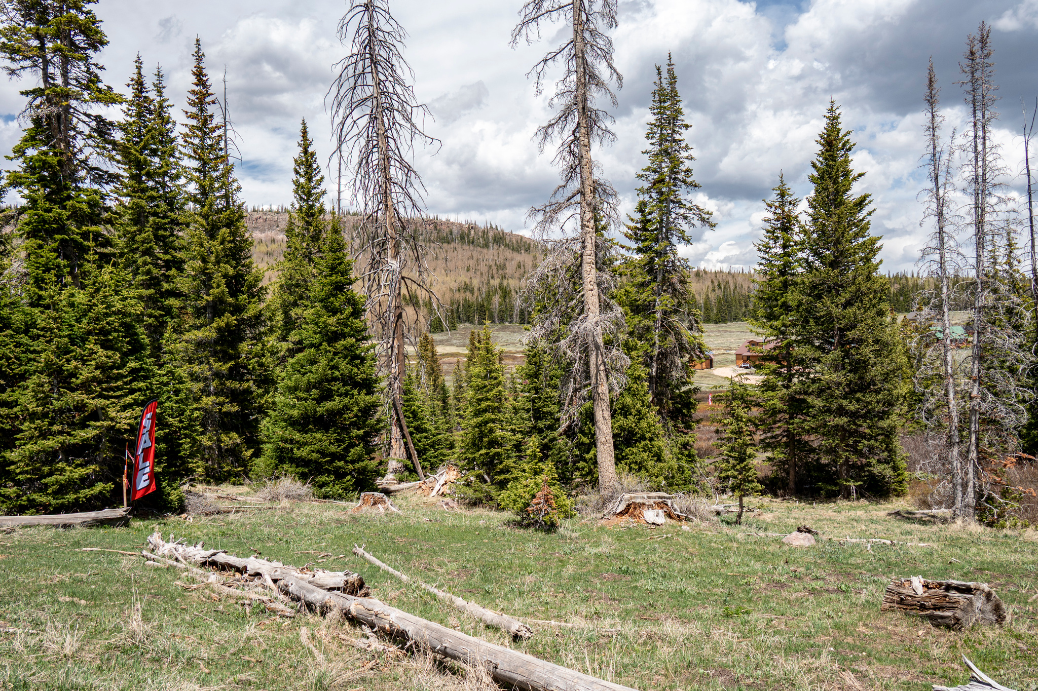 RAINBOW MEADOW RANCHOS - Land