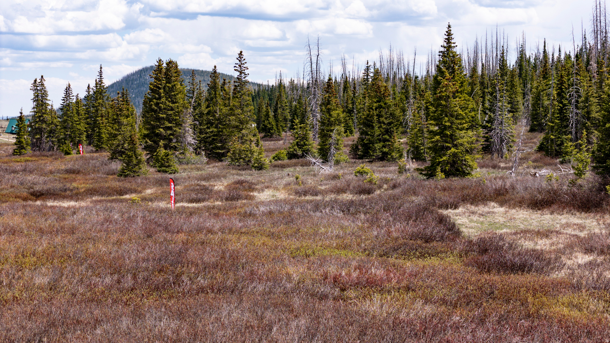 RAINBOW MEADOW RANCHOS - Land
