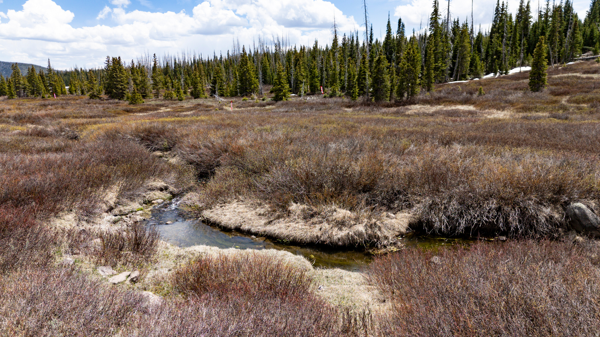 RAINBOW MEADOW RANCHOS - Land