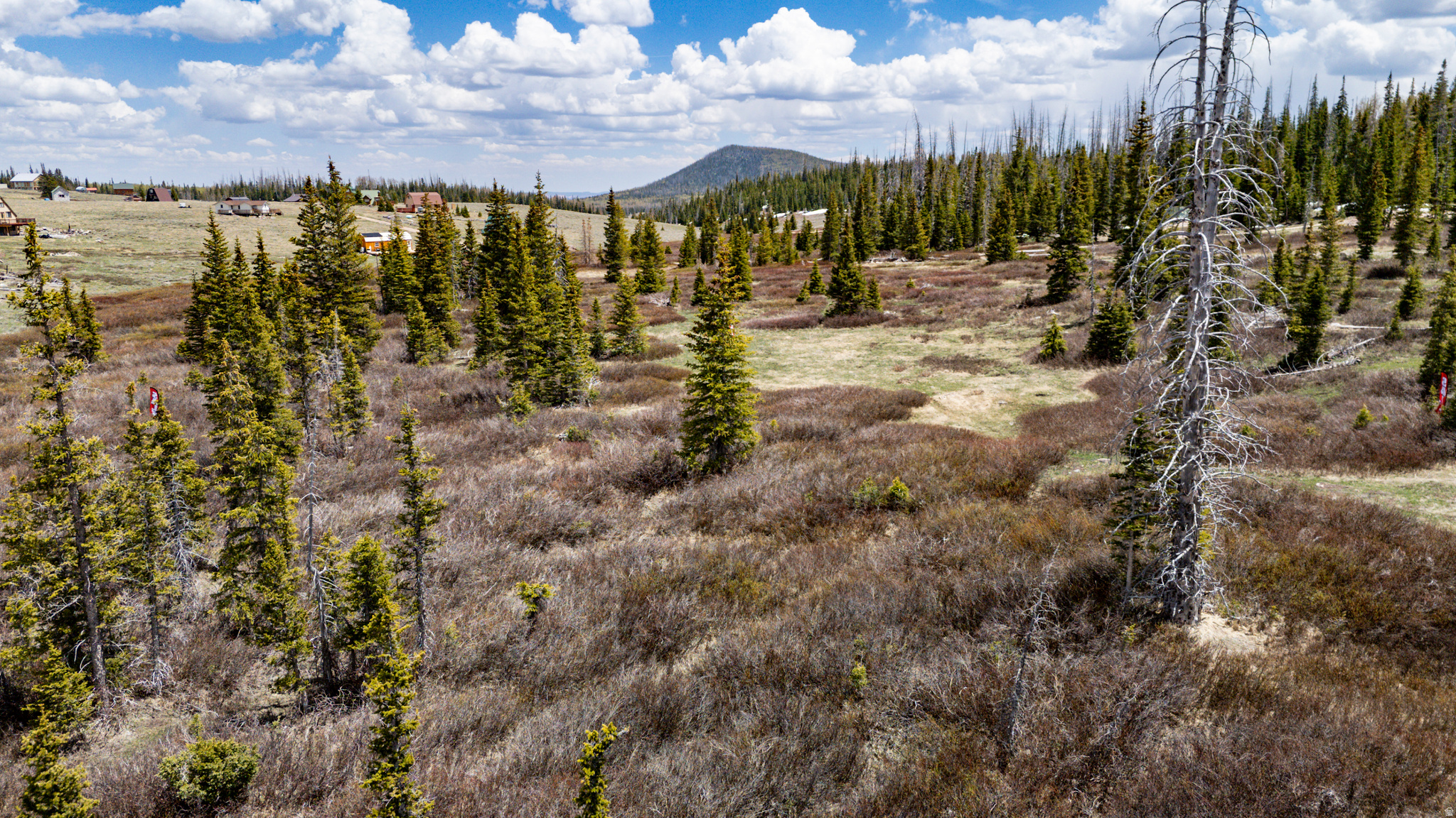 RAINBOW MEADOW RANCHOS - Land