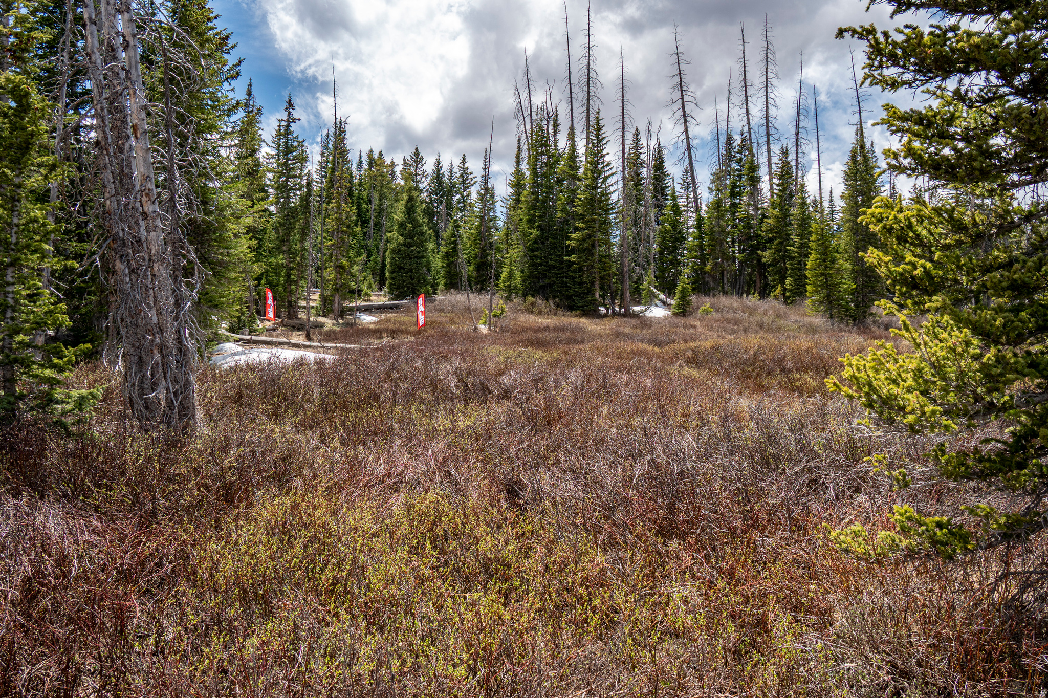 RAINBOW MEADOW RANCHOS - Land