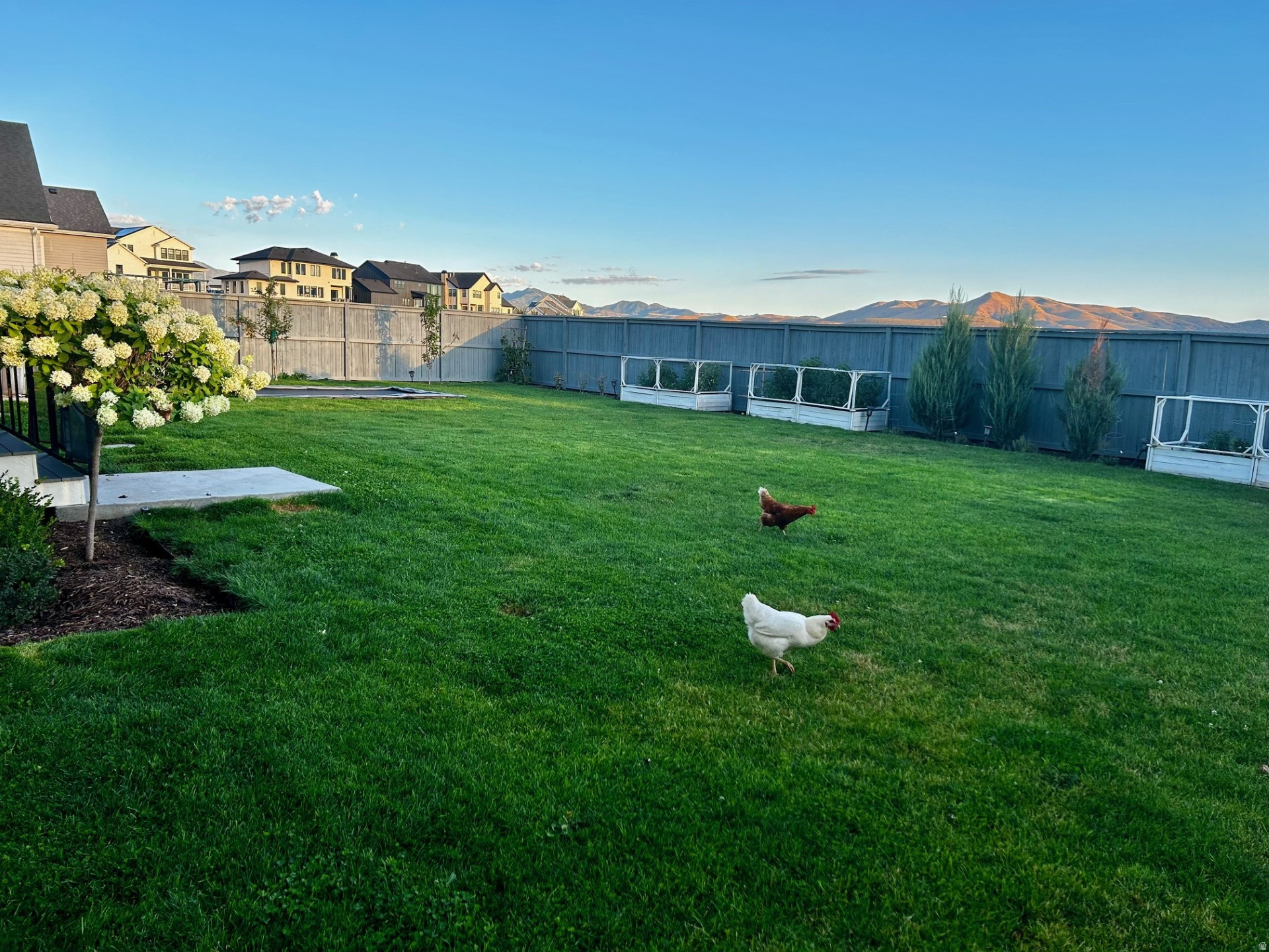 FOUNDERS AT BEACON POINTE - Residential