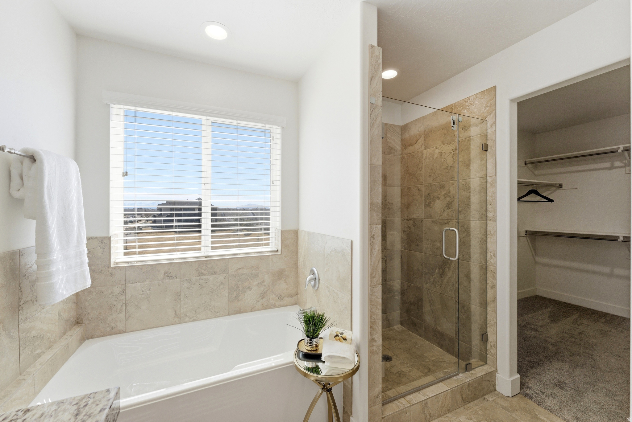 PLAT CTHE SPRINGS AT - Residential