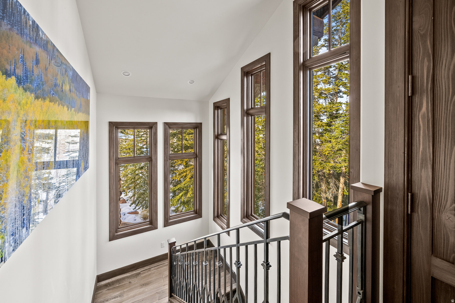 COLONY AT WHITE PINE - Residential