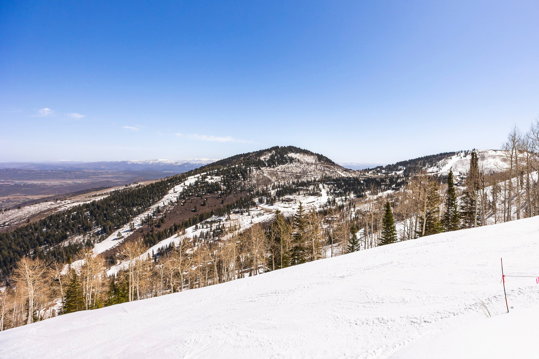 COLONY AT WHITE PINE - Residential