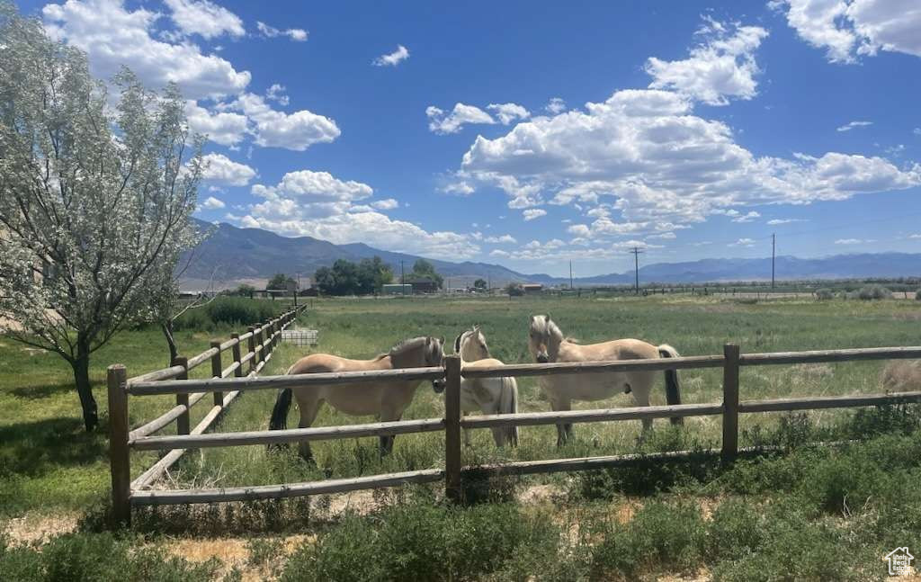 BEND IN THE ROAD - Residential